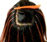 Aprende a colocar las luces con extensiones