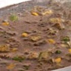 �C�mo se hace la crema de huitlacoche?